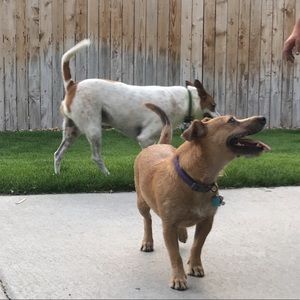 Meet your Posher, Emma